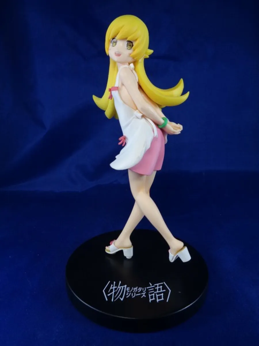 Acqua & Sapone 2011 Giessegi Radsport-Profi-Team - long sleeve jersey jacket