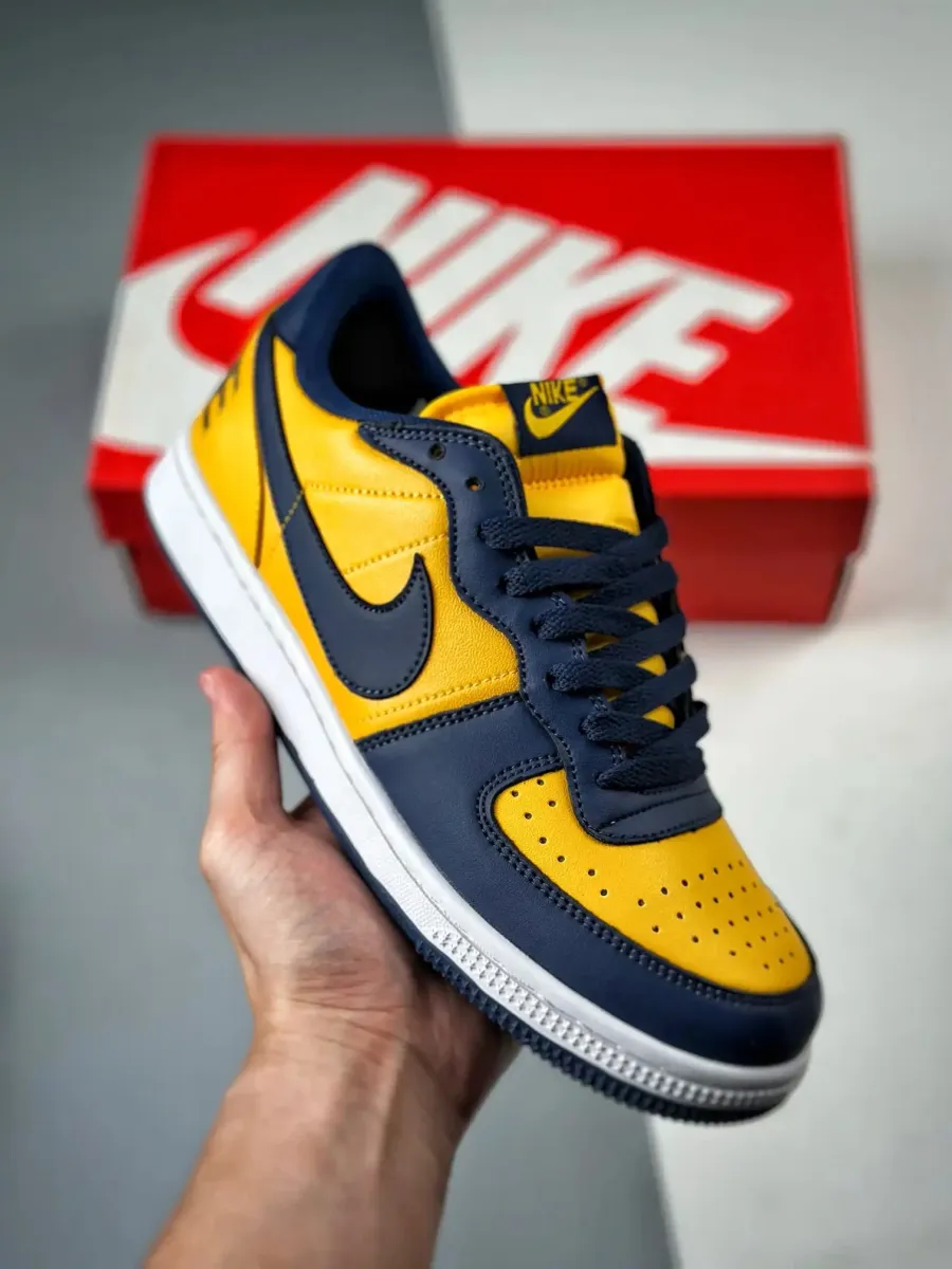 Nike Terminator Low Michigan Nike Com Sale FJ4206-700