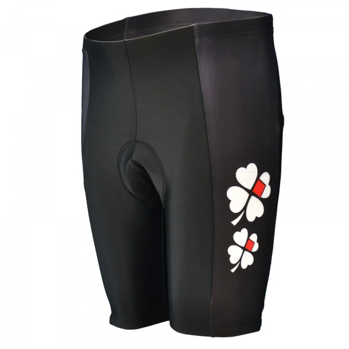 FRANCAISE DES JEUX (FDJ) 2010 MOA professional cycling team - cycling shorts