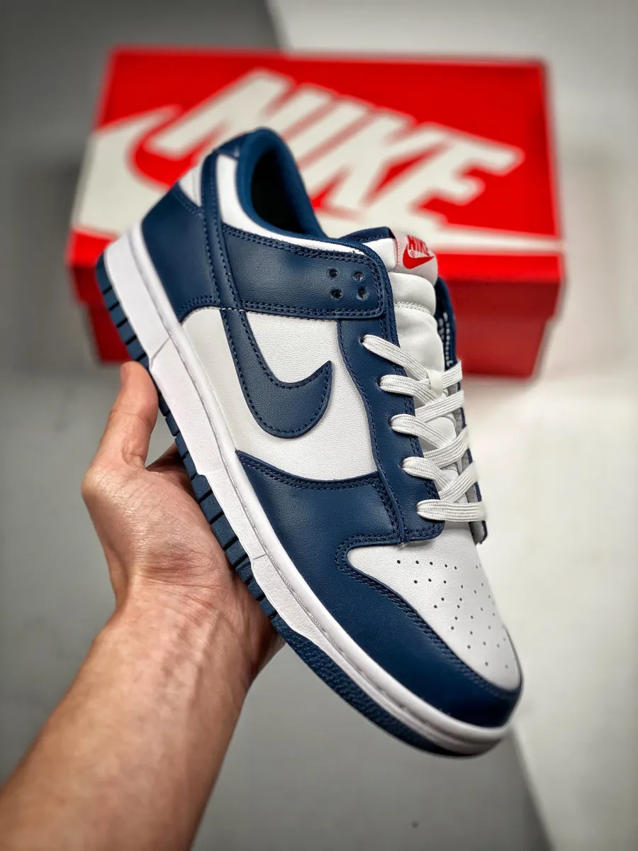 Nike Dunk Low USA Valerian Blue DD1391-400