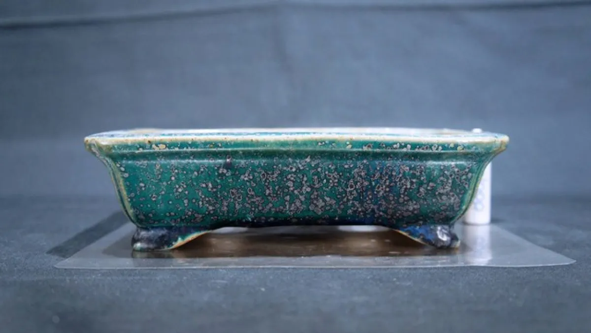 2012 TEAM GEOX Short Sleeve Cycling Jersey For Sale